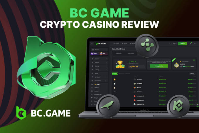Exploring the BC.Game Platform A New Era in Online Gaming Exploring the BC.Game Platform A New Era in Online Gaming
